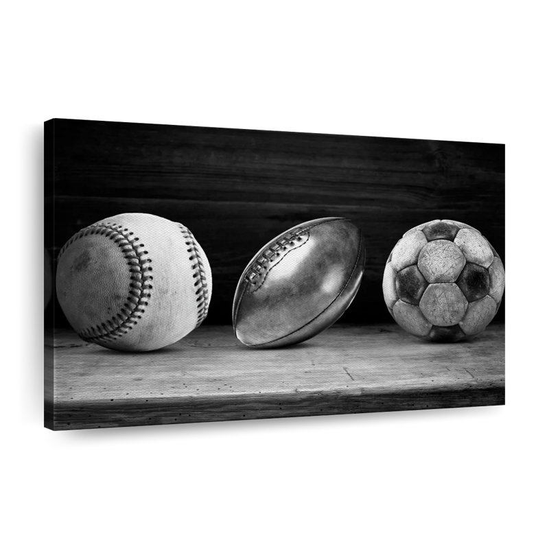 «Sport Balls» monochrome sur toile, H 16 po x l 24 po x P 1,25 po