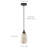 1-Matte black iron dimmable glass pendant light