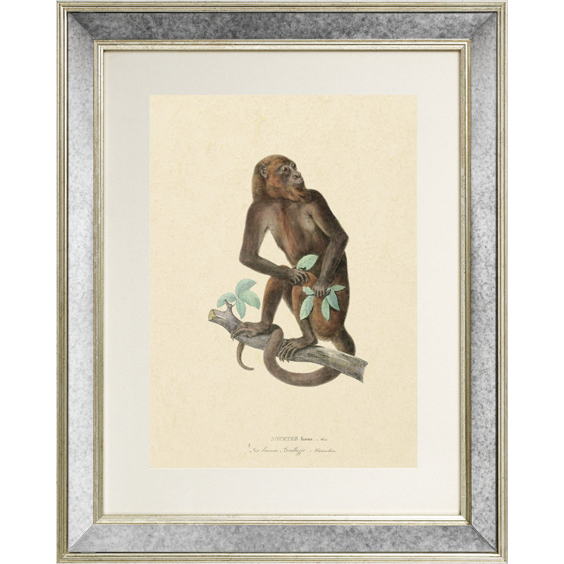 Primate I - Single Picture Frame Print on Canvas