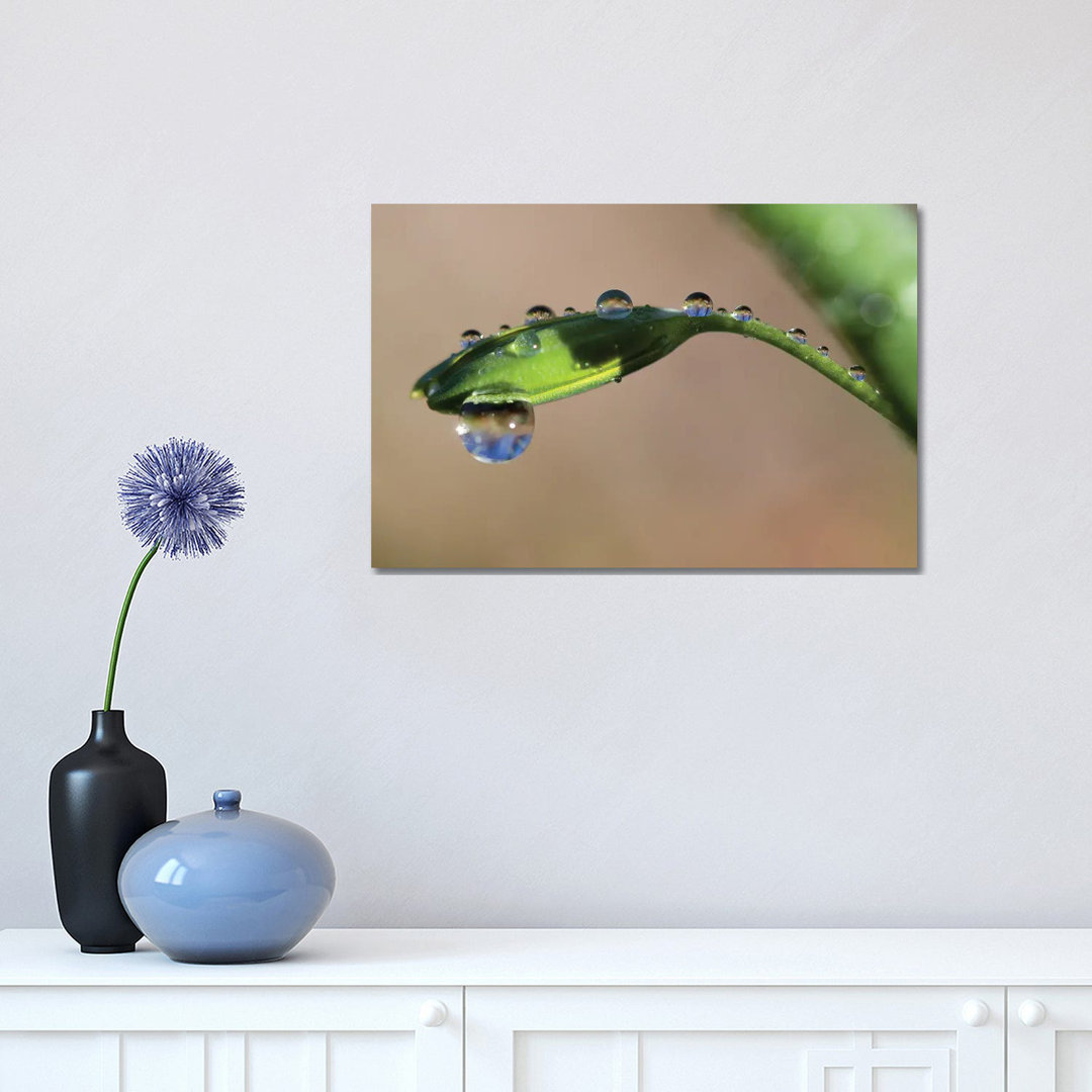 Droplets II by Mateusz Piesiak - Wrapped Canvas Print
