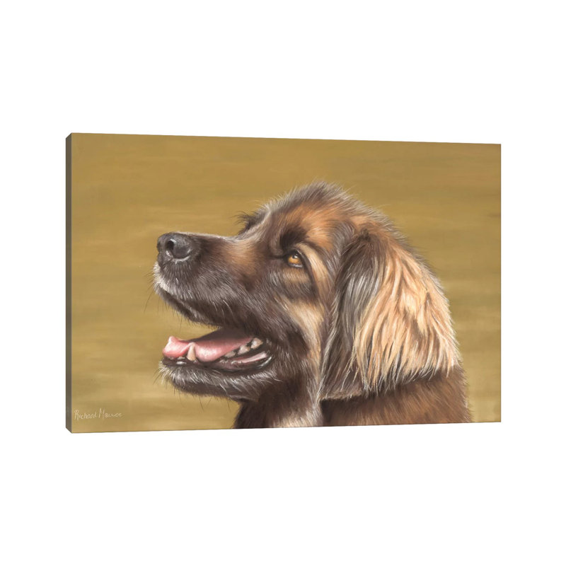 Leonberger by Richard Macwee - Gallery-Wrapped Canvas Giclée, 20.32 cm H x 30.48 cm W, Canvas