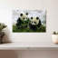 Hiver Pandas-1572530039