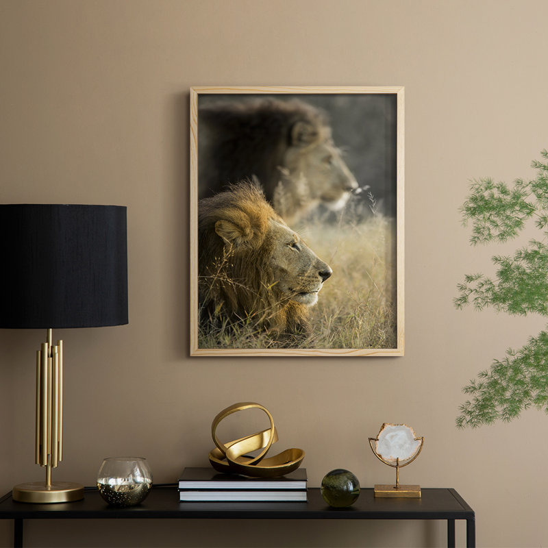 Lions in Morning Sun Framed Print - Solid Wood