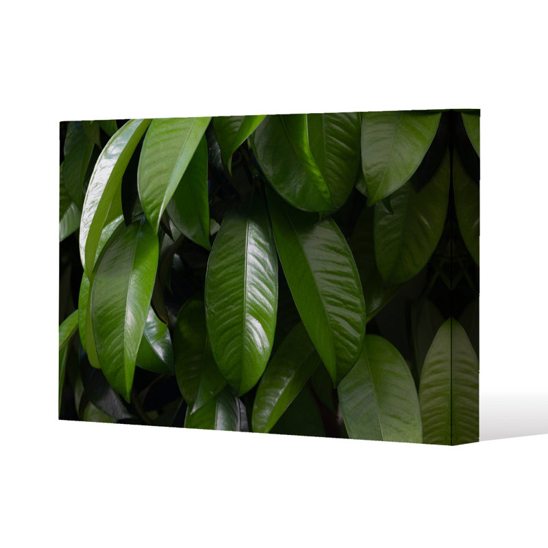 No Title by Andrew Lee - Wrapped Canvas Print, 31cm H x 41cm W x 4cm D