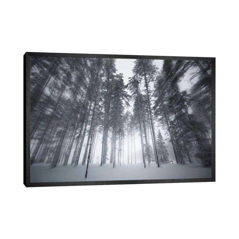 Winter Light by Andreas Stridsberg - Gallery-Wrapped Canvas Giclée on Canvas, 101.6 cm H x 66.04 cm W, Black Framed