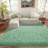 Mint Green Fluffy Rugs for Living Room 6x9 ft, Soft Non-Slip Shag Plush Bedroom Carpet, Large Area Rug for Nursery Kids Dorm Home Decor-1431013600