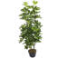 Arbre de parasol artificiel d'intérieur, grand arbre Schefflera de 4 pi avec pot de fleurs décoratif, plante verte artificielle réaliste pour la décoration de salon de bureau à domicile