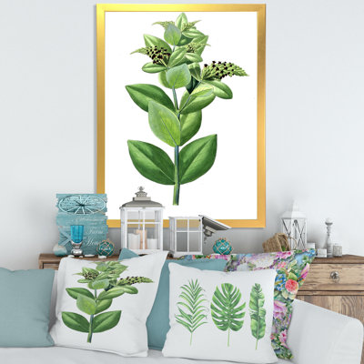 " Leaves Plants VI "
