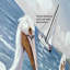 Grandes images de toile de mouette océanique