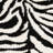 Coltun Shag Performance Animal Print Rug-214301470