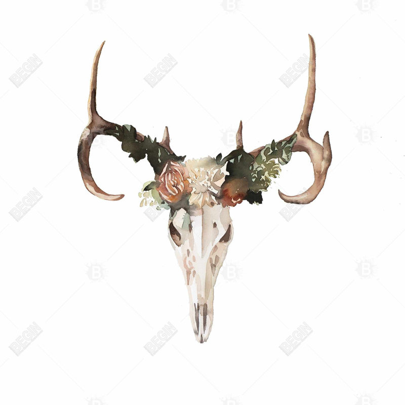 Crâne de cerf avec roses, reproduction sur toile, H 32 po x l 32 po, Toile tendue