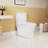 1.1/1.6 GPF Elongated Comfort Height Floor Mounted Onepiece Toilet, CUPC Certified, Watersense Cetified, Ceramic, White Color, Soft Close Seat