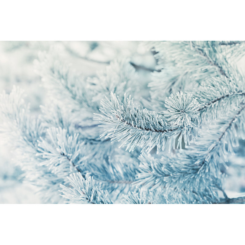 Cool Winter Background by Julia_Sudnitskaya - Wrapped Canvas Print, 81cm H x 122cm W
