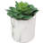 4.75'' Faux Succulent in Fake Marble Pot