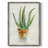 Succulent IV Framed Print - Solid Wood-302735838