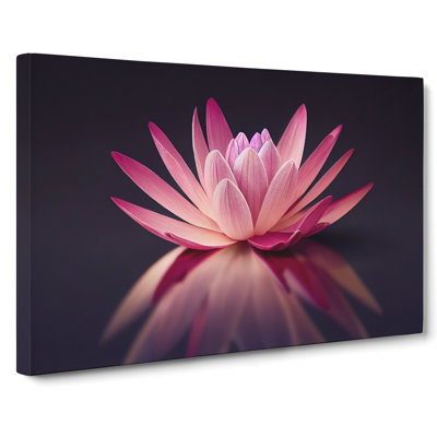 Captivating Water Lily Flower - Wrapped Canvas Print