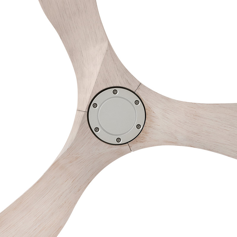 Ventilateur intelligent DEL Hinkley Fan Swell
