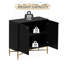 Armoire d'appoint 2 portes