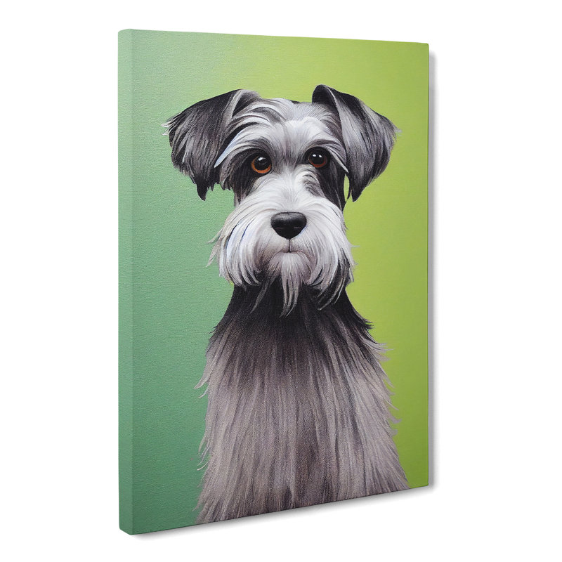Schnauzer Dog - Wrapped Canvas, 50cm H x 35cm W x 3cm D