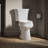 Highline 1.28 GPF Water Efficient Elongated Two-Piece Toilet (Seat Not Included)-10978613-108571197