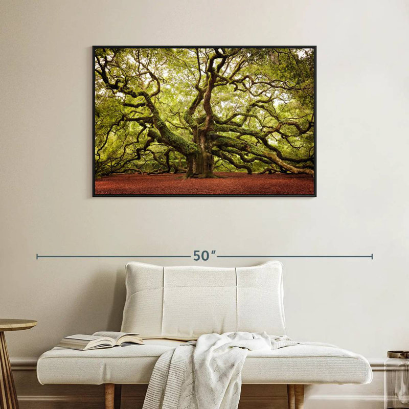 Chêne Charleston Angel, Cadre flottant noir, 40 po x 27 po