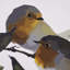 Oiseaux et pommes, toile texturée décorée à la main-123223481