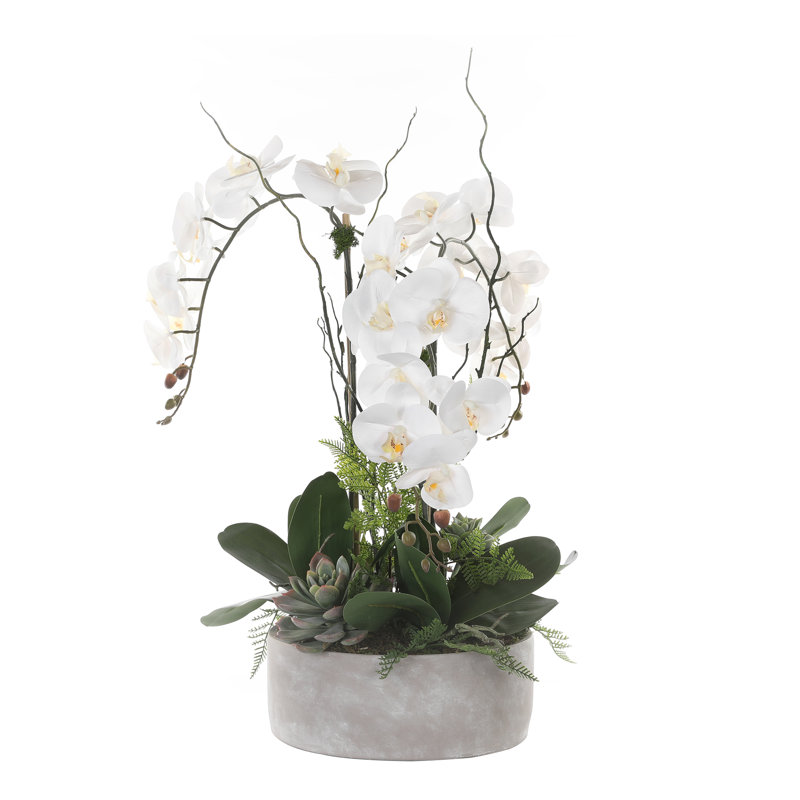 Arrangement floral orchidée véritable en pot