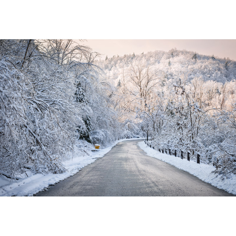 Snowy Forest by Elenathewise - Wrapped Canvas Print, 30cm H x 46cm W x 3.8cm D