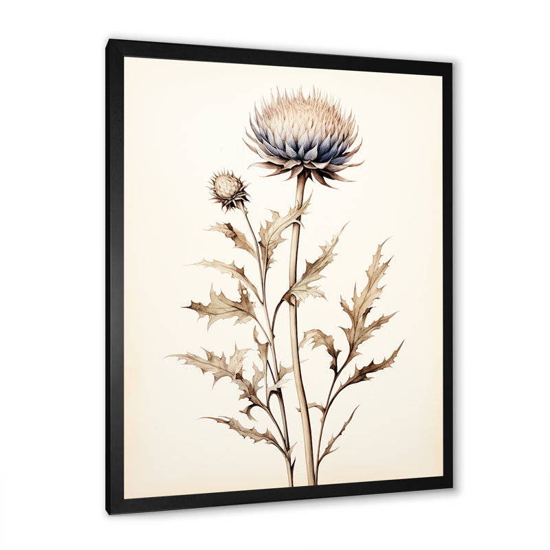 " Beige Thistle Flower Stillness I ", Black Single Picture Framed, 20" H x 12" W