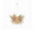 White Oak