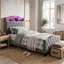 Smart Upholstered Storage Beds Upholstered Bed-134821895