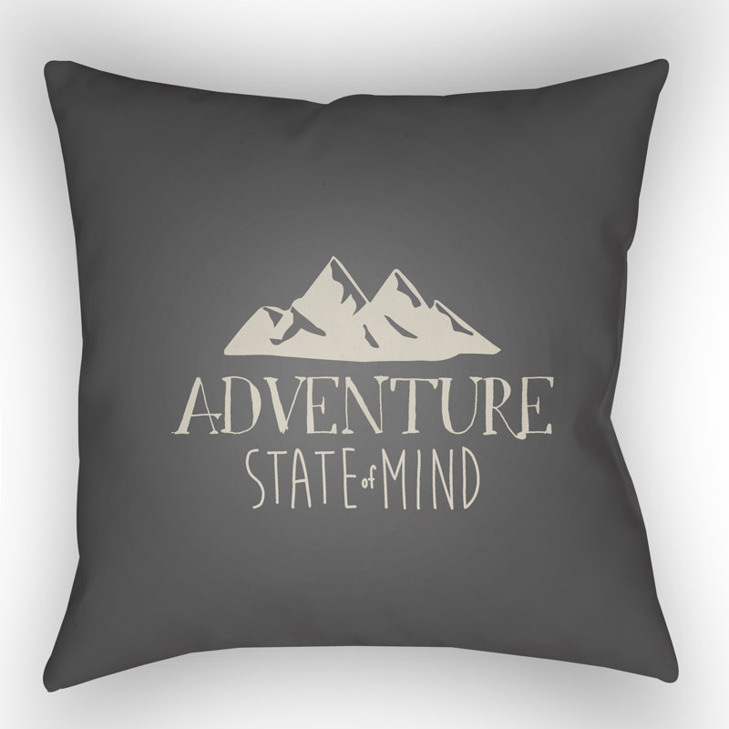 Outdoor Throw Pillow, 20" H x 20" W x 4" D, Gray