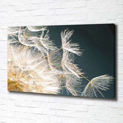 Dandelion Seeds - Wrapped Canvas Print