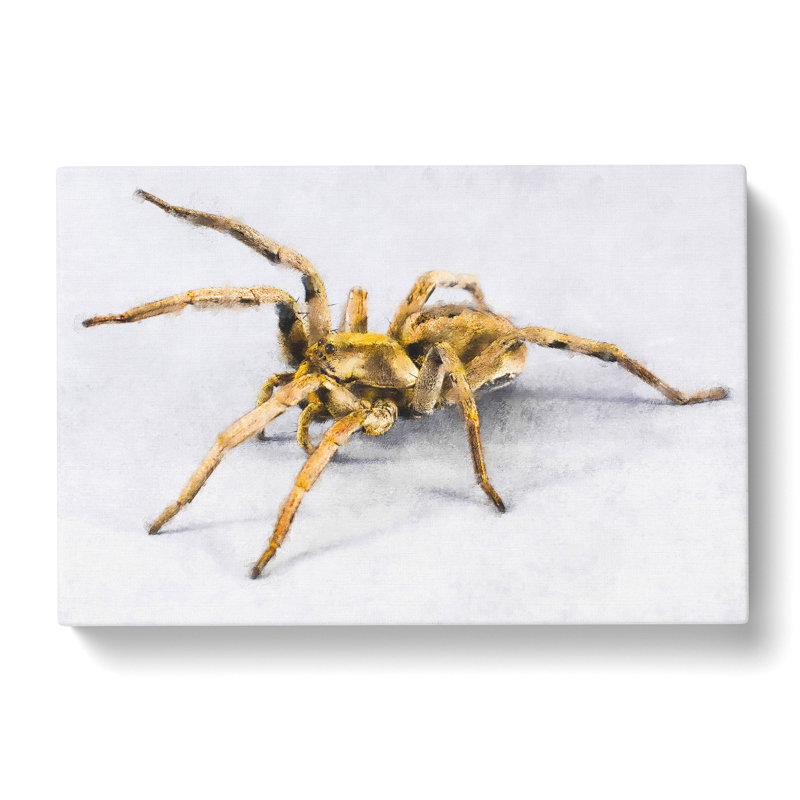 Tarantula Spider - Wrapped Canvas Graphic Art, 35cm H x 50cm W x 3cm D
