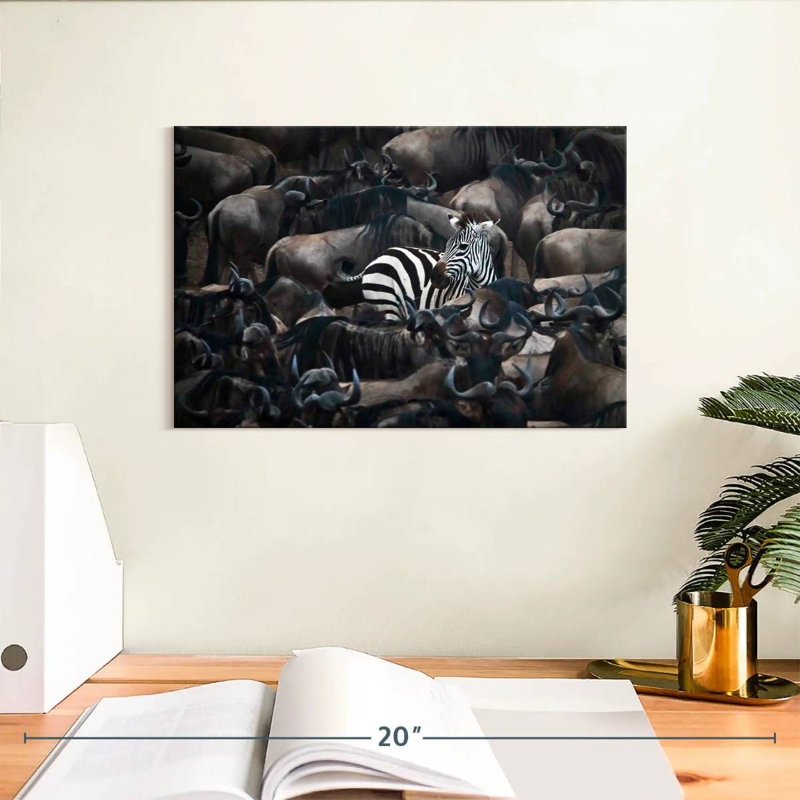 Brampt Zebra Among Wildebeests, 8" H x 12" W