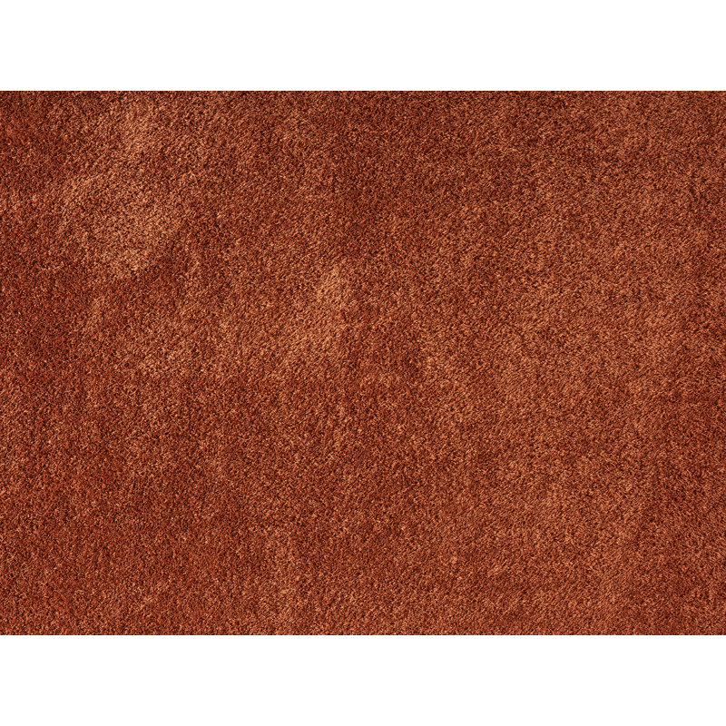 Taeler Washable Modern Living Room Rug Polyester Plain Indoor Area Rug with Low Pile - Anti-Slip Felt Backing SuperSoft Carpet Bedroom-Hallway, Terracotta