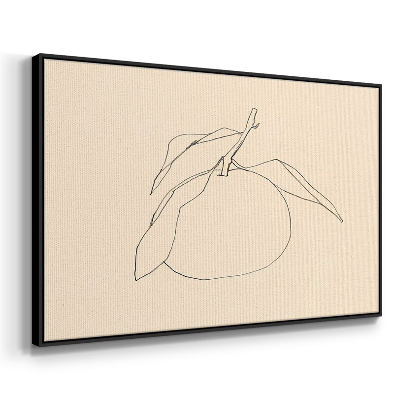 Citrus Contour I, reproduction d'art sur toile, H 27 po x l 41 po x P 2 po, Cadre noir