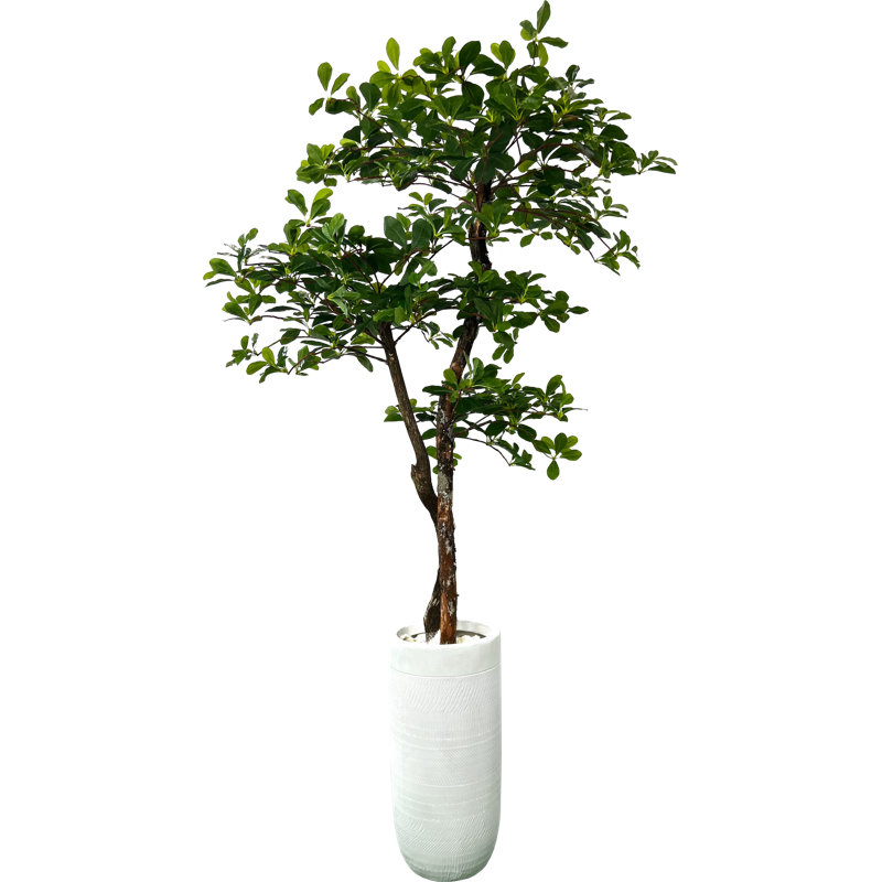 60" H Silk Artificial Olive Tree