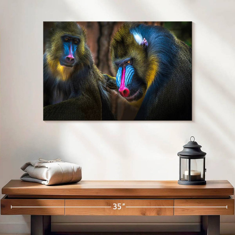 Deux singes Mandrill, H 16 po x l 24 po