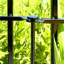 No Dig Metal Garden Fence – Rustproof Border for Small Dogs, Rabbits, Flower Beds & Lawn Edging – Black-716329231-717904714