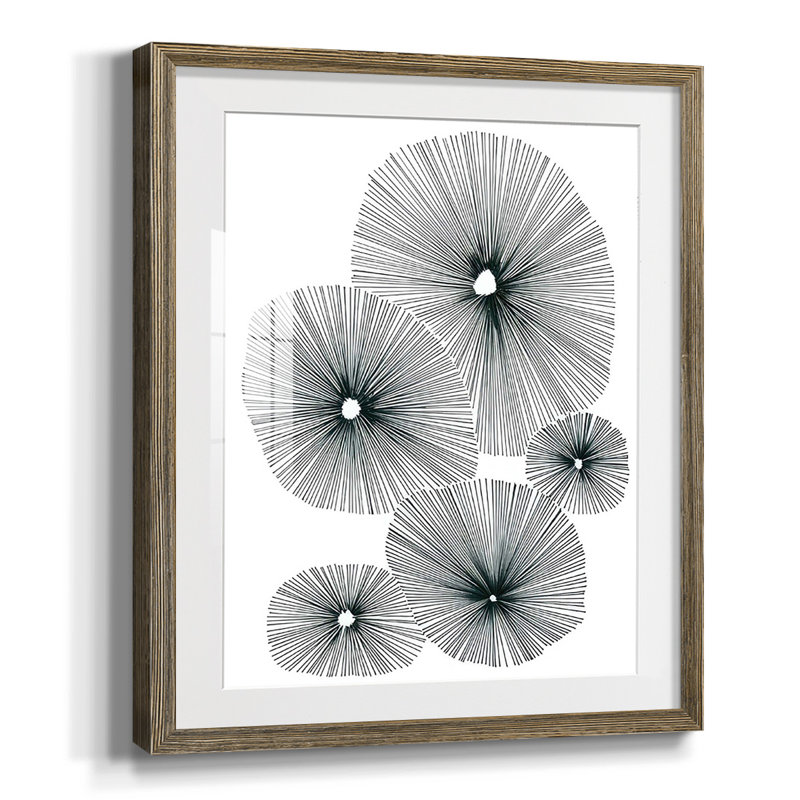 Bloom Spiral II, Blanc, Papier avec cadre noyer