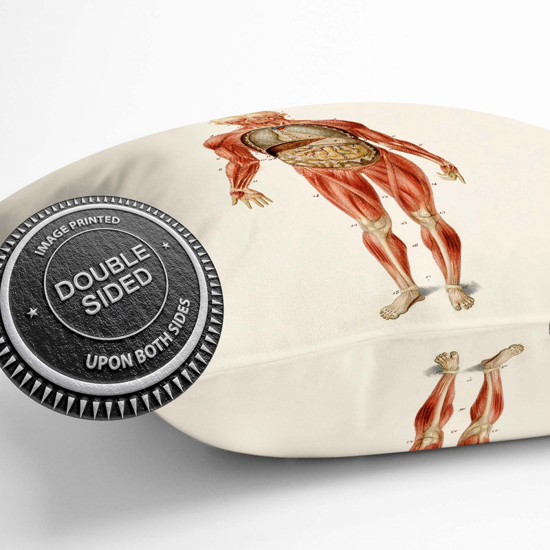 Square Cushion, 55cm H x 55cm W x 20cm D