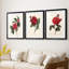 Red Botanical I - reproduction encadrée sur mesure de qualité supérieure mate - 3 pièces-345066760