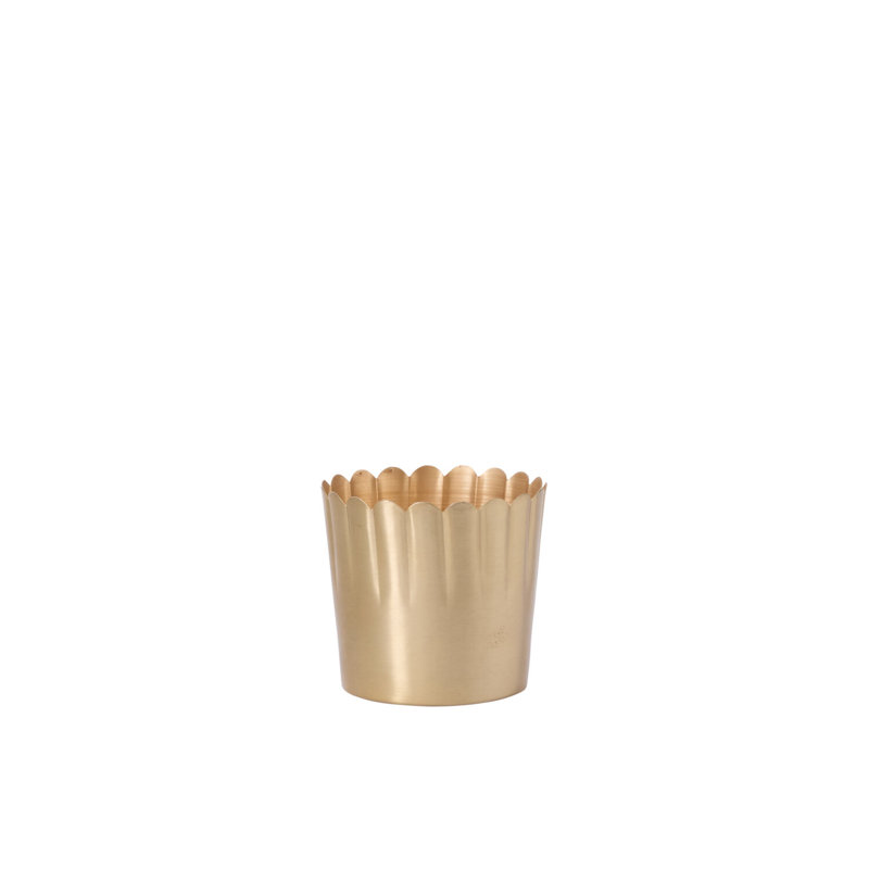 Pot Delicata 5,5 po x 5 po