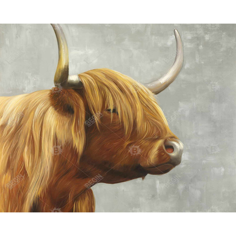 " Beautiful Higland Cattle "