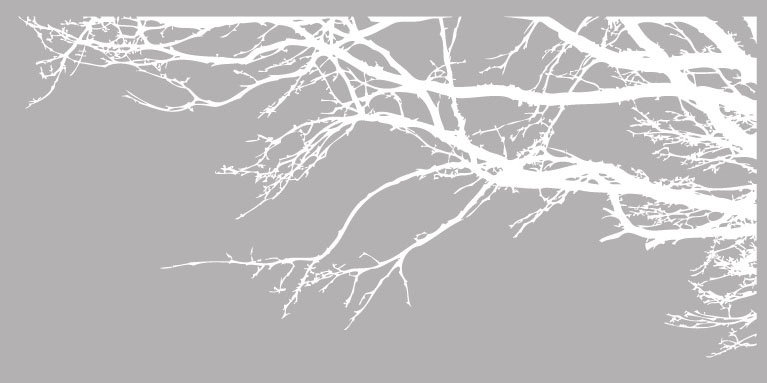 Adhésif décoratif branches avec oiseaux, Blanc