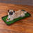 Pet Bowl