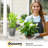 Kise Pot Planter-323524642-322665829