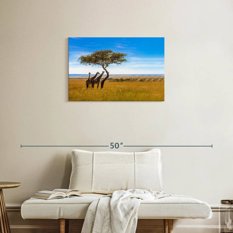 Brampt, savane, girafes d'Afrique, H 20 po x l 30 po