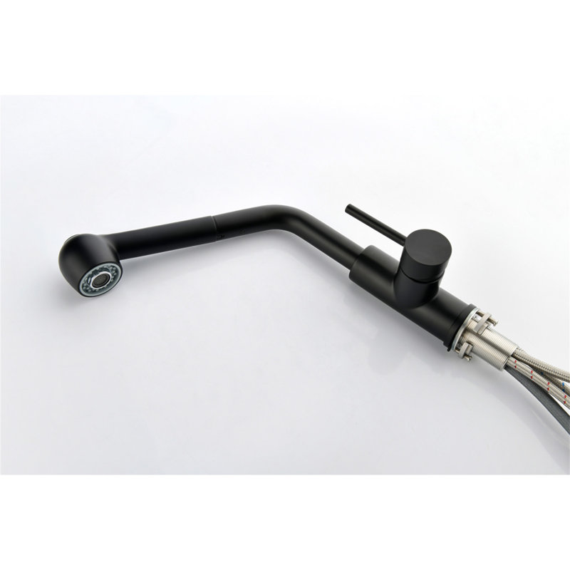 Robinet d'évier de cuisine à poignée simple avec douchette extractible, Noir mat
